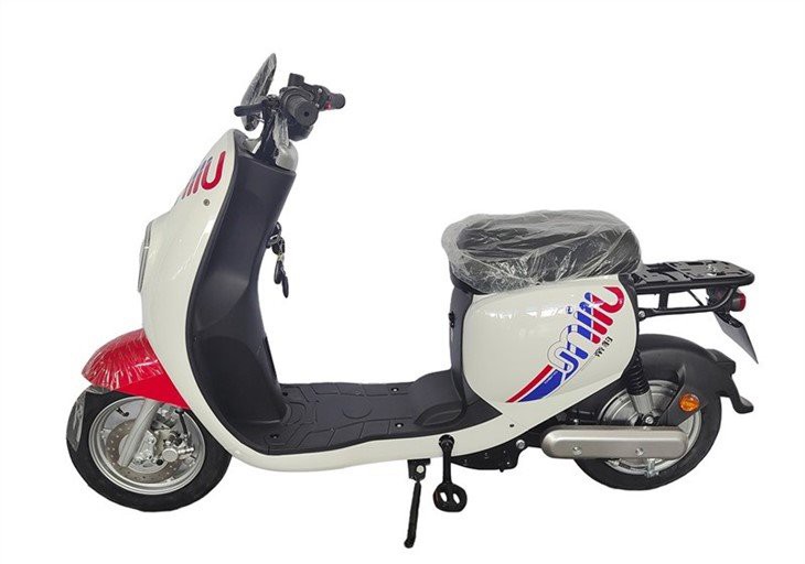 Large Capacity Battery Electric Scooter